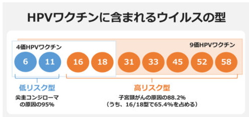 HPVワクチンに含まれるウイルスの型
